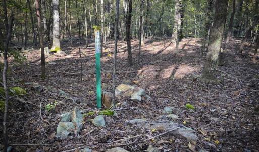 Photo of 9.28 +/-  acres of Building / Recreational Land for Sale in Person County, NC!