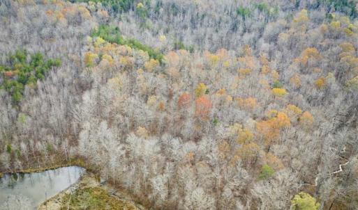 Photo of 9.28 +/-  acres of Building / Recreational Land for Sale in Person County, NC!