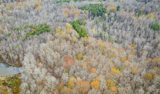 Photo of 9.28 +/-  acres of Building / Recreational Land for Sale in Person County, NC!