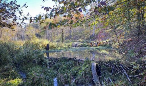 Photo of 9.28 +/-  acres of Building / Recreational Land for Sale in Person County, NC!
