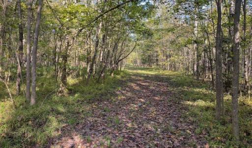 Photo of 9.28 +/-  acres of Building / Recreational Land for Sale in Person County, NC!