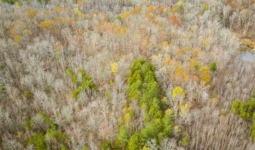 Photo of 9.28 +/-  acres of Building / Recreational Land for Sale in Person County, NC!