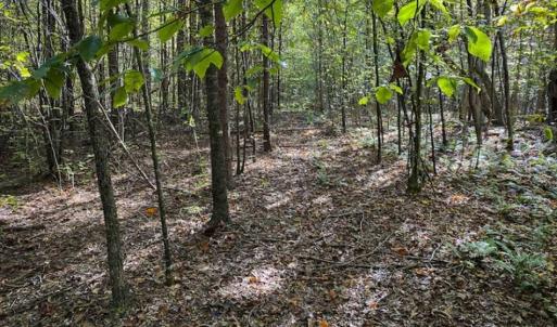 Photo of 9.28 +/-  acres of Building / Recreational Land for Sale in Person County, NC!