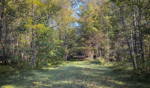 Photo of 9.28 +/-  acres of Building / Recreational Land for Sale in Person County, NC!