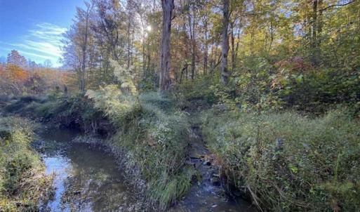 Photo of 9.28 +/-  acres of Building / Recreational Land for Sale in Person County, NC!