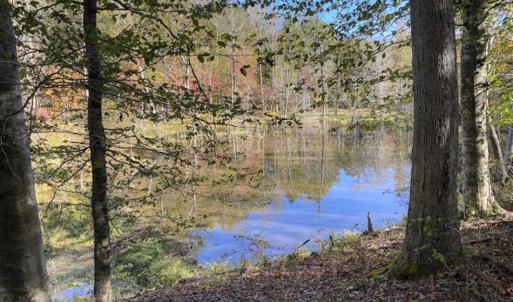 Photo of 9.28 +/-  acres of Building / Recreational Land for Sale in Person County, NC!