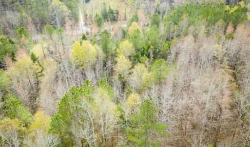 Photo of 9.28 +/-  acres of Building / Recreational Land for Sale in Person County, NC!