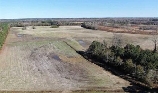 Photo of UNDER CONTRACT!!  146 acres of Timberland and Farmland For Sale in Robeson County, NC!