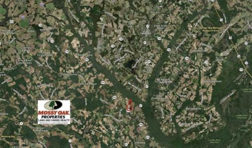 Photo of UNDER CONTRACT!!  146 acres of Timberland and Farmland For Sale in Robeson County, NC!