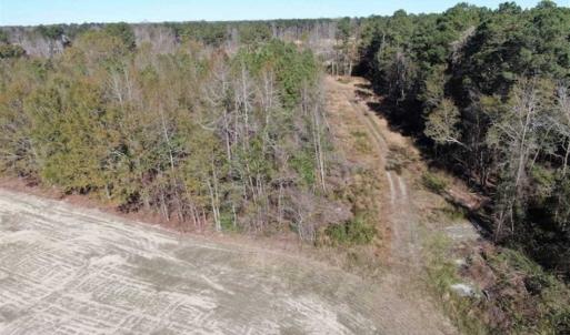 Photo of UNDER CONTRACT!!  146 acres of Timberland and Farmland For Sale in Robeson County, NC!