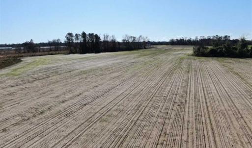 Photo of UNDER CONTRACT!!  146 acres of Timberland and Farmland For Sale in Robeson County, NC!