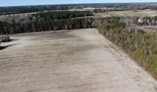 Photo of UNDER CONTRACT!!  146 acres of Timberland and Farmland For Sale in Robeson County, NC!