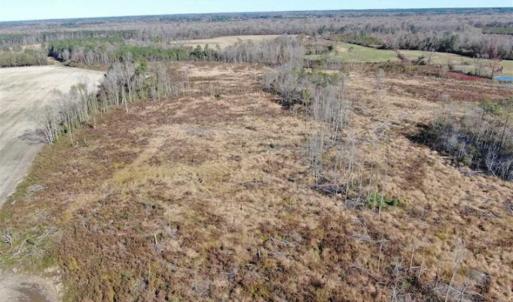 Photo of UNDER CONTRACT!!  146 acres of Timberland and Farmland For Sale in Robeson County, NC!