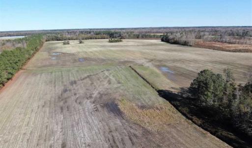 Photo of UNDER CONTRACT!!  146 acres of Timberland and Farmland For Sale in Robeson County, NC!