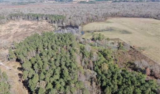 Photo of UNDER CONTRACT!!  146 acres of Timberland and Farmland For Sale in Robeson County, NC!