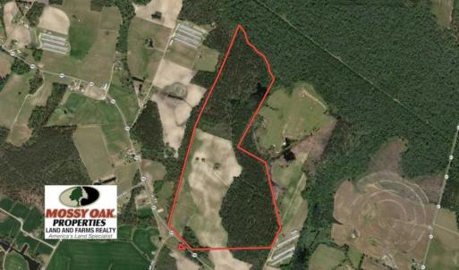 Photo of UNDER CONTRACT!!  146 acres of Timberland and Farmland For Sale in Robeson County, NC!