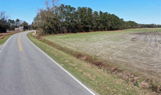 Photo of UNDER CONTRACT!!  146 acres of Timberland and Farmland For Sale in Robeson County, NC!