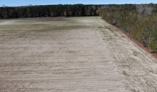 Photo of UNDER CONTRACT!!  146 acres of Timberland and Farmland For Sale in Robeson County, NC!