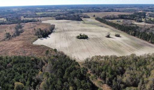 Photo of UNDER CONTRACT!!  146 acres of Timberland and Farmland For Sale in Robeson County, NC!