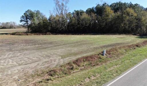 Photo of UNDER CONTRACT!!  146 acres of Timberland and Farmland For Sale in Robeson County, NC!