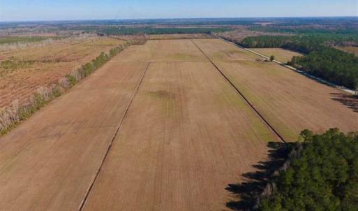 Photo of UNDER CONTRACT!!  100 Acres of Farmland, Timberland, and Hunting Land For Sale in Jones County NC!