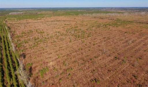 Photo of UNDER CONTRACT!!  100 Acres of Farmland, Timberland, and Hunting Land For Sale in Jones County NC!