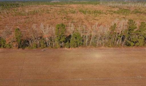 Photo of UNDER CONTRACT!!  100 Acres of Farmland, Timberland, and Hunting Land For Sale in Jones County NC!