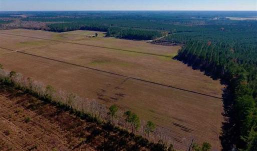 Photo of UNDER CONTRACT!!  100 Acres of Farmland, Timberland, and Hunting Land For Sale in Jones County NC!