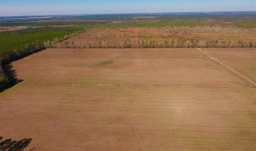 Photo of UNDER CONTRACT!!  100 Acres of Farmland, Timberland, and Hunting Land For Sale in Jones County NC!