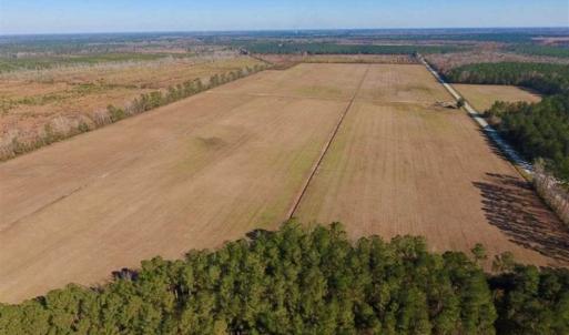 Photo of UNDER CONTRACT!!  100 Acres of Farmland, Timberland, and Hunting Land For Sale in Jones County NC!