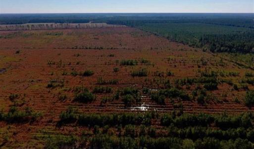 Photo of UNDER CONTRACT!!  100 Acres of Farmland, Timberland, and Hunting Land For Sale in Jones County NC!