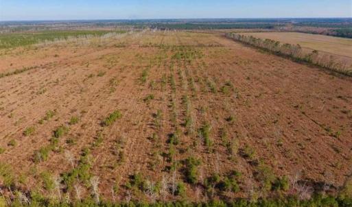 Photo of UNDER CONTRACT!!  100 Acres of Farmland, Timberland, and Hunting Land For Sale in Jones County NC!