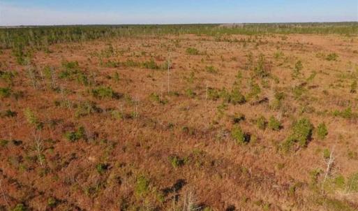 Photo of UNDER CONTRACT!!  100 Acres of Farmland, Timberland, and Hunting Land For Sale in Jones County NC!