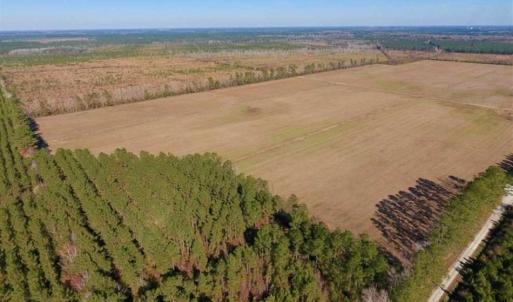 Photo of UNDER CONTRACT!!  100 Acres of Farmland, Timberland, and Hunting Land For Sale in Jones County NC!