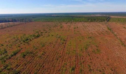 Photo of UNDER CONTRACT!!  100 Acres of Farmland, Timberland, and Hunting Land For Sale in Jones County NC!