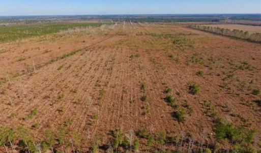 Photo of UNDER CONTRACT!!  100 Acres of Farmland, Timberland, and Hunting Land For Sale in Jones County NC!