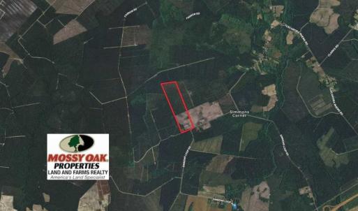 Photo of UNDER CONTRACT!!  100 Acres of Farmland, Timberland, and Hunting Land For Sale in Jones County NC!
