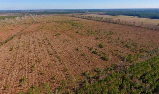 Photo of UNDER CONTRACT!!  100 Acres of Farmland, Timberland, and Hunting Land For Sale in Jones County NC!