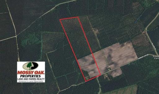 Photo of UNDER CONTRACT!!  100 Acres of Farmland, Timberland, and Hunting Land For Sale in Jones County NC!