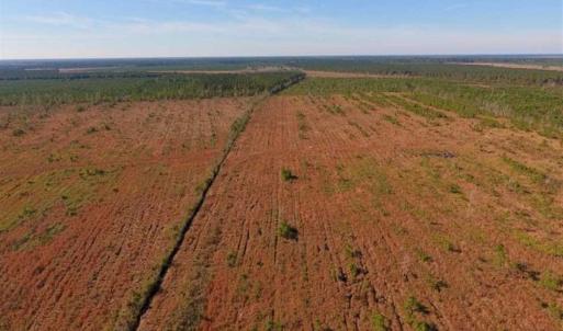 Photo of UNDER CONTRACT!!  100 Acres of Farmland, Timberland, and Hunting Land For Sale in Jones County NC!