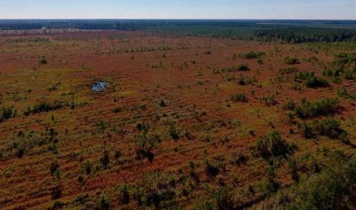 Photo of UNDER CONTRACT!!  100 Acres of Farmland, Timberland, and Hunting Land For Sale in Jones County NC!