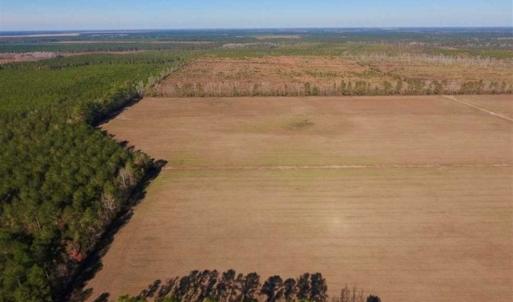 Photo of UNDER CONTRACT!!  100 Acres of Farmland, Timberland, and Hunting Land For Sale in Jones County NC!