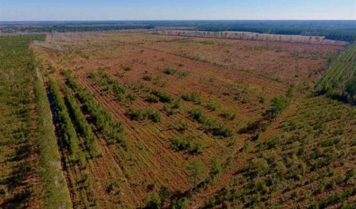 Photo of UNDER CONTRACT!!  100 Acres of Farmland, Timberland, and Hunting Land For Sale in Jones County NC!