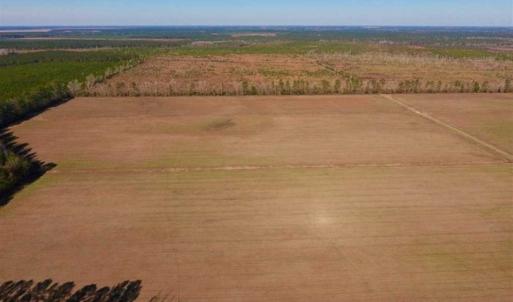 Photo of UNDER CONTRACT!!  100 Acres of Farmland, Timberland, and Hunting Land For Sale in Jones County NC!