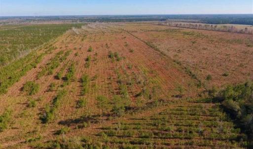 Photo of UNDER CONTRACT!!  100 Acres of Farmland, Timberland, and Hunting Land For Sale in Jones County NC!