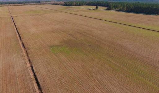 Photo of UNDER CONTRACT!!  100 Acres of Farmland, Timberland, and Hunting Land For Sale in Jones County NC!