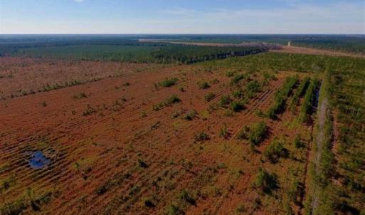 Photo of UNDER CONTRACT!!  100 Acres of Farmland, Timberland, and Hunting Land For Sale in Jones County NC!