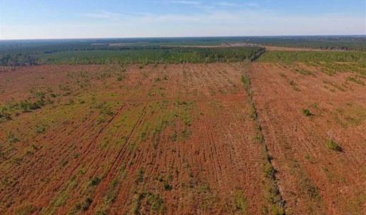 Photo of UNDER CONTRACT!!  100 Acres of Farmland, Timberland, and Hunting Land For Sale in Jones County NC!