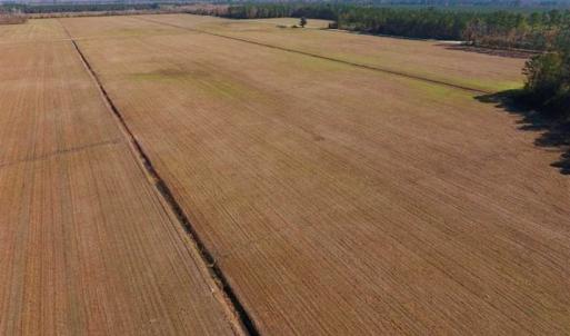 Photo of UNDER CONTRACT!!  100 Acres of Farmland, Timberland, and Hunting Land For Sale in Jones County NC!