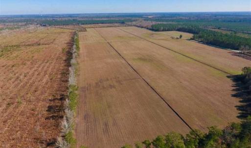 Photo of UNDER CONTRACT!!  100 Acres of Farmland, Timberland, and Hunting Land For Sale in Jones County NC!